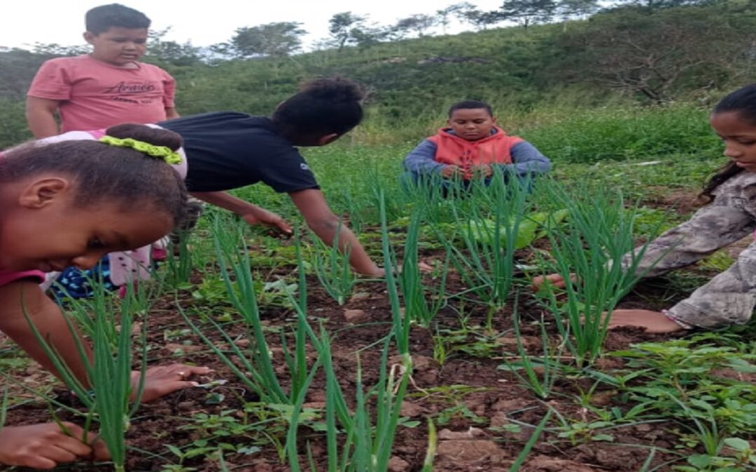 Escola quilombola transforma horta em espaço de múltiplos aprendizados