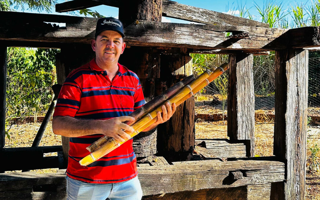 Sabinosa: Produtor de cachaça retoma negócio familiar e conquista premiações