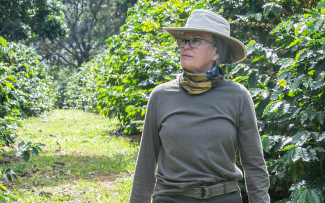 Após incêndio, produtora transforma área degradada em cultivo de café agroflorestal