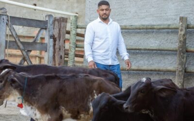 Resultados inéditos na pecuária