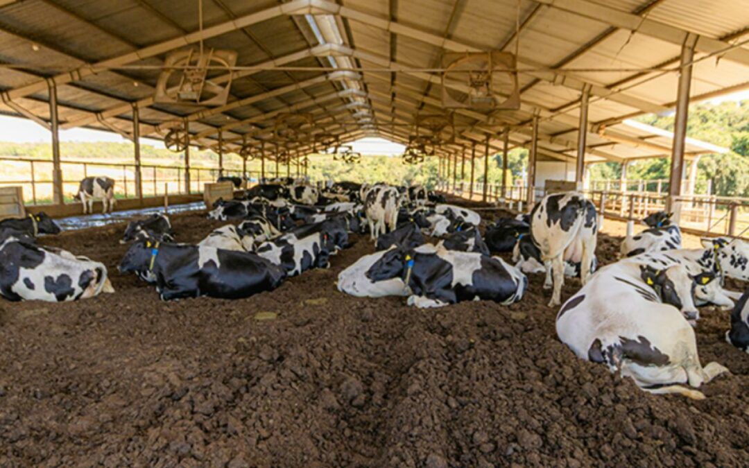 Agronegócio sustentável