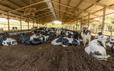 Agronegócio sustentável