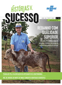 Revista Histórias de Sucesso – Nº 2